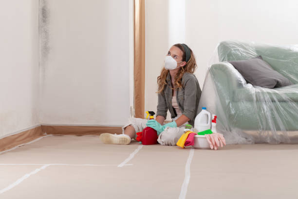 Reliable Mold Remediation contractor in Newtonville, MA by WQB Mold Removal